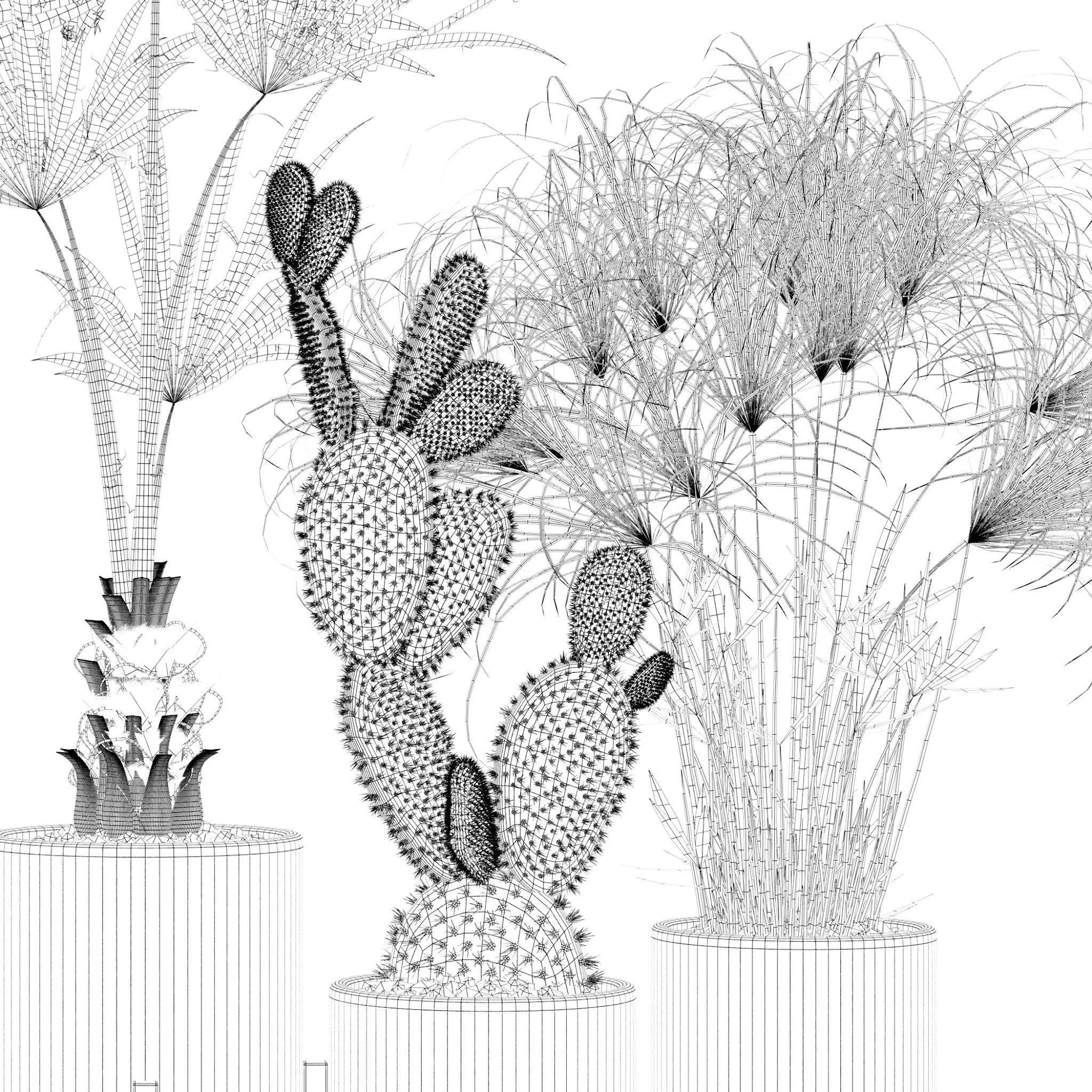 20 Photorealistic Flowers for Interiors - set 120 123 137 142 3D Model Collection_15