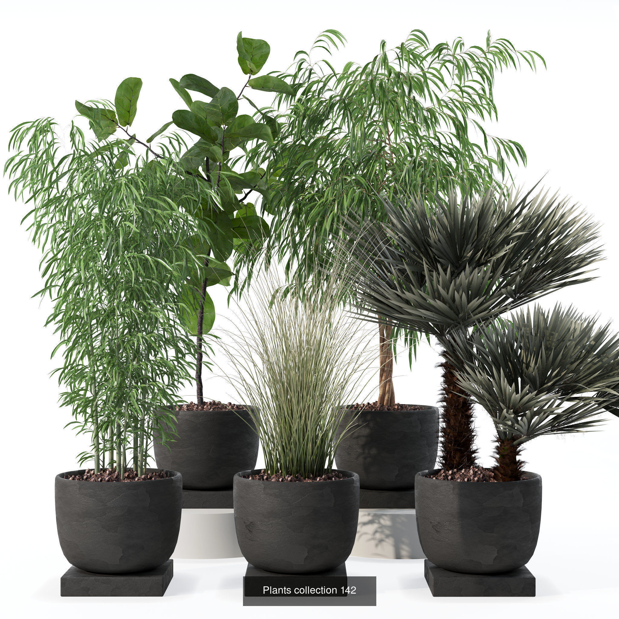 20 Photorealistic Flowers for Interiors - set 120 123 137 142 3D Model Collection_4