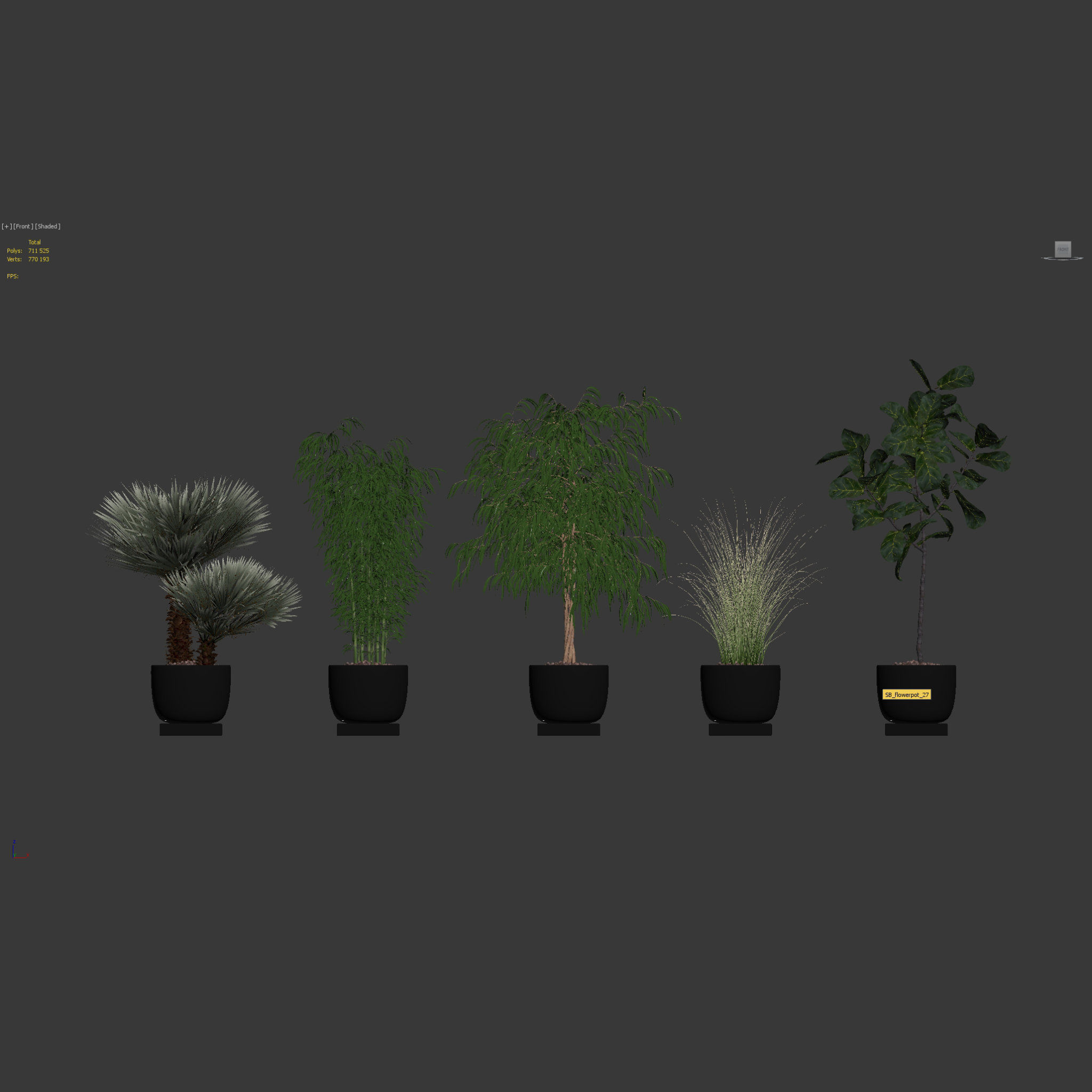 20 Photorealistic Flowers for Interiors - set 120 123 137 142 3D Model Collection_34