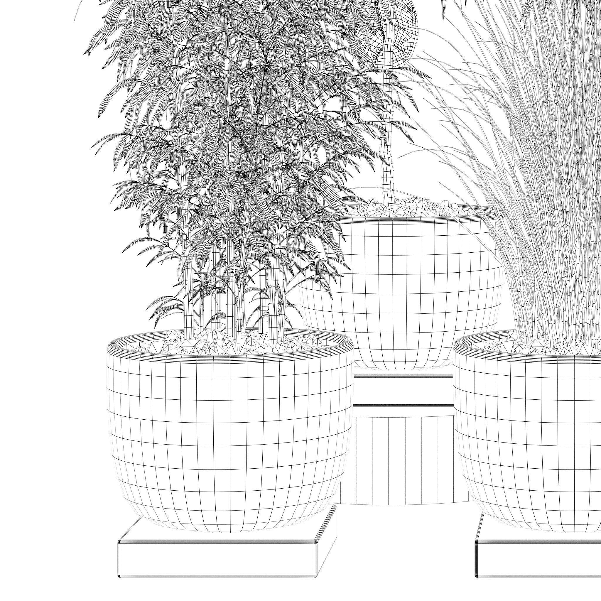 20 Photorealistic Flowers for Interiors - set 120 123 137 142 3D Model Collection_37