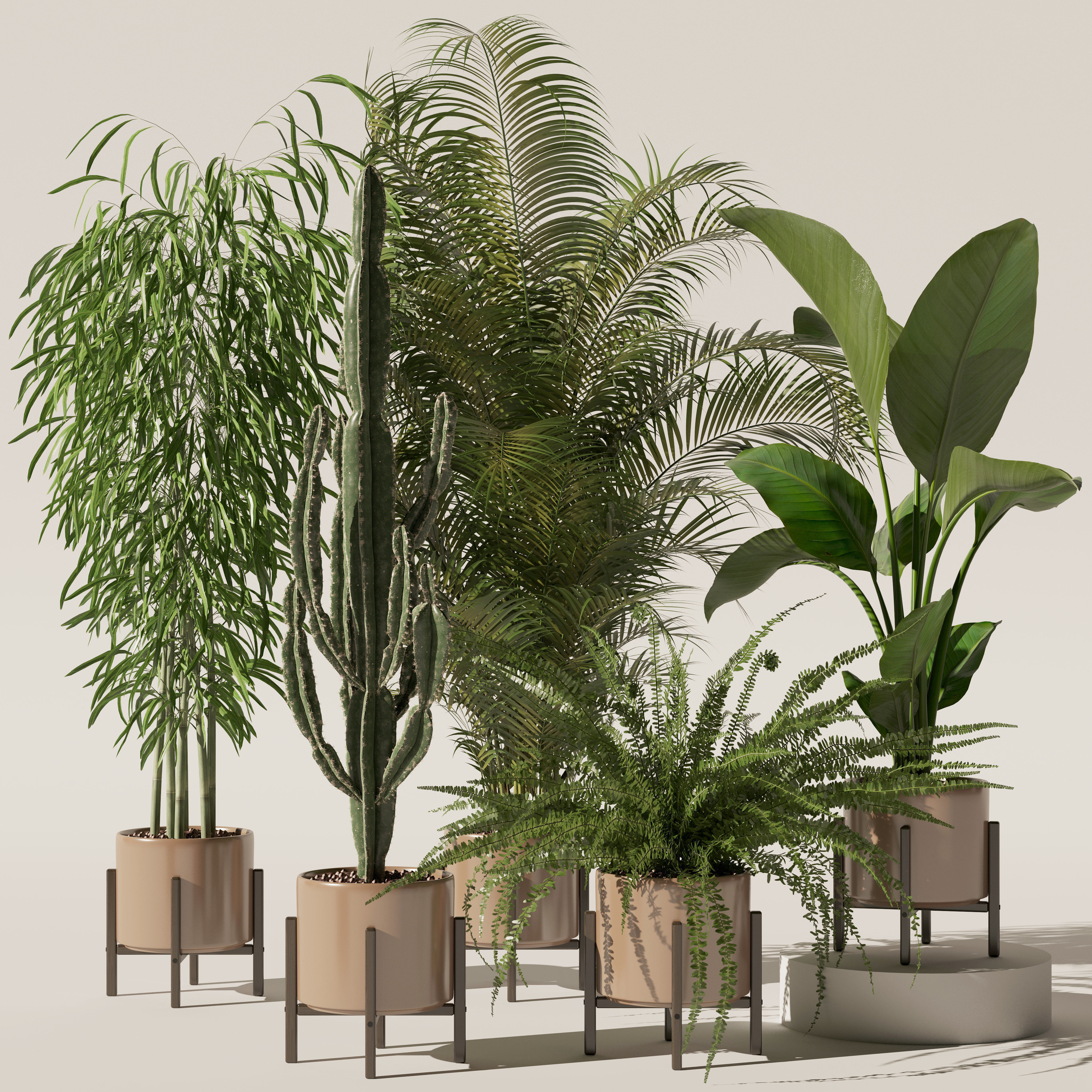 20 Photorealistic Flowers for Interiors - set 120 123 137 142 3D Model Collection_33