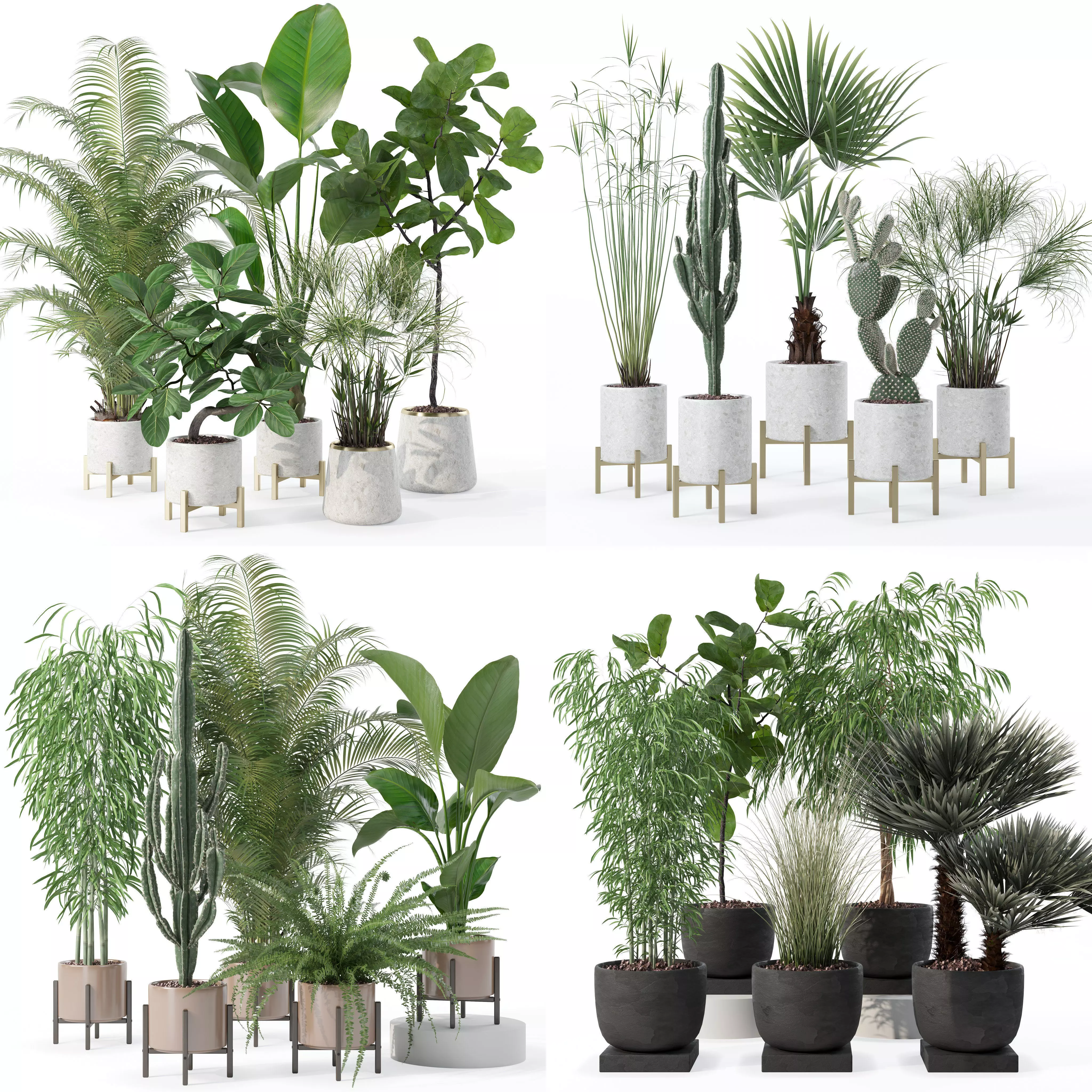 20 Photorealistic Flowers for Interiors - set 120 123 137 142 3D Model Collection_0