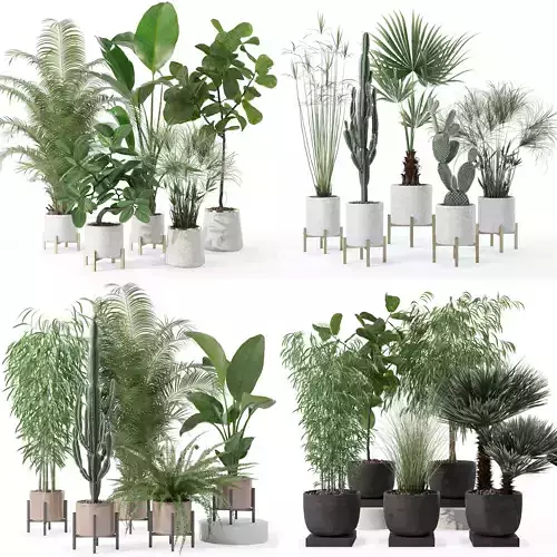 20 Photorealistic Flowers for Interiors - set 120 123 137 142 3D Model Collection