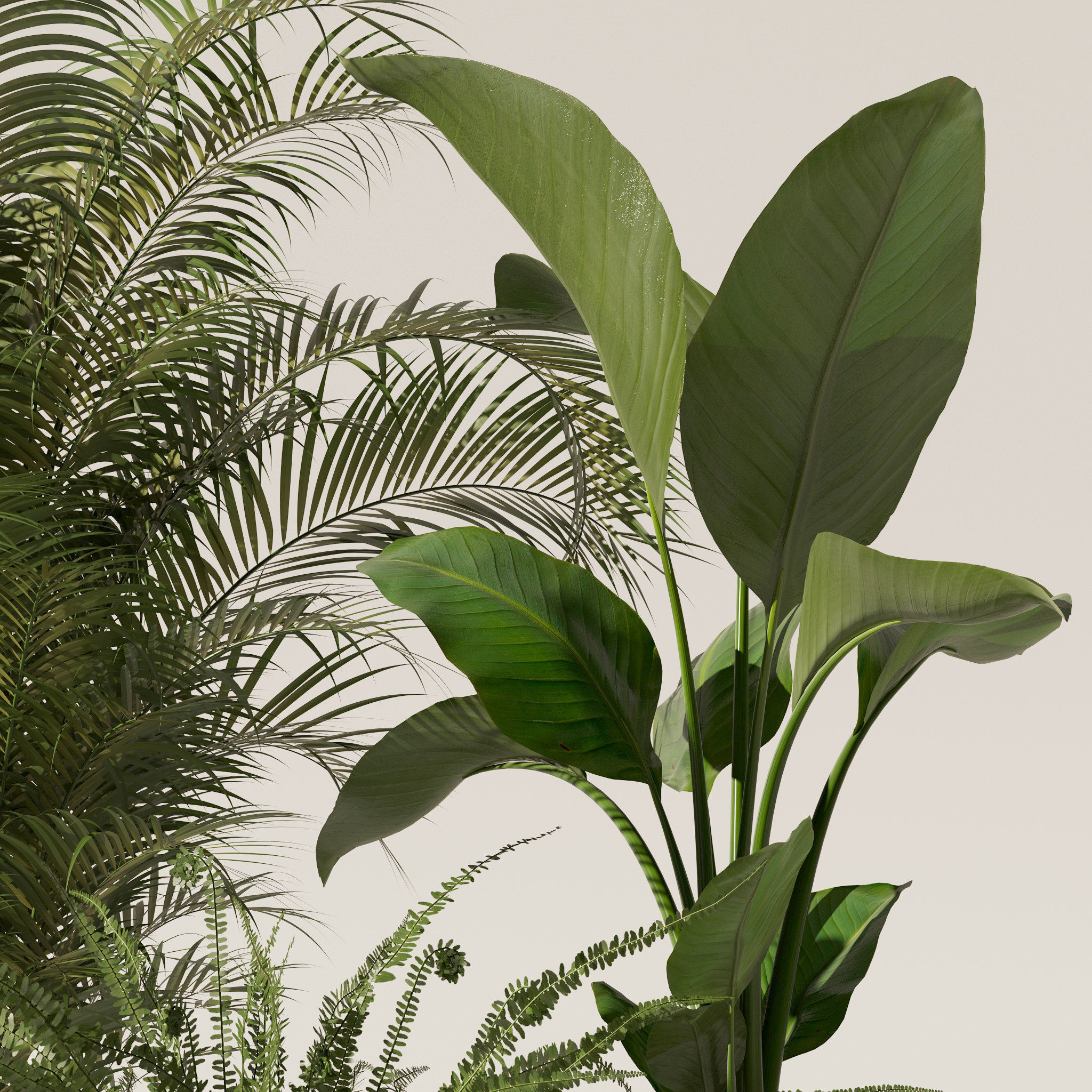 20 Photorealistic Flowers for Interiors - set 120 123 137 142 3D Model Collection_23