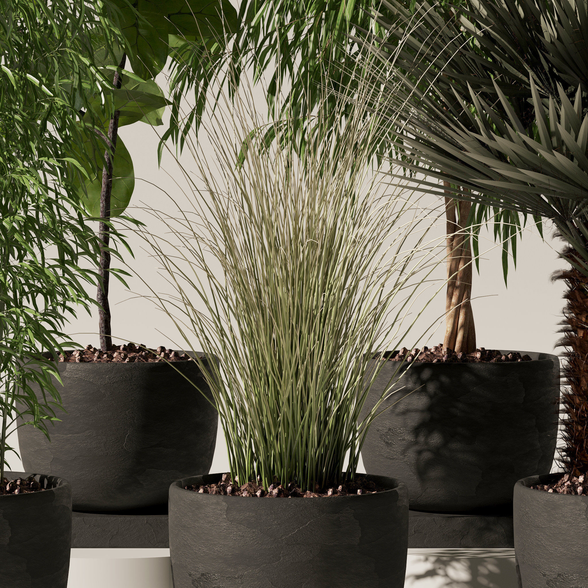 20 Photorealistic Flowers for Interiors - set 120 123 137 142 3D Model Collection_44