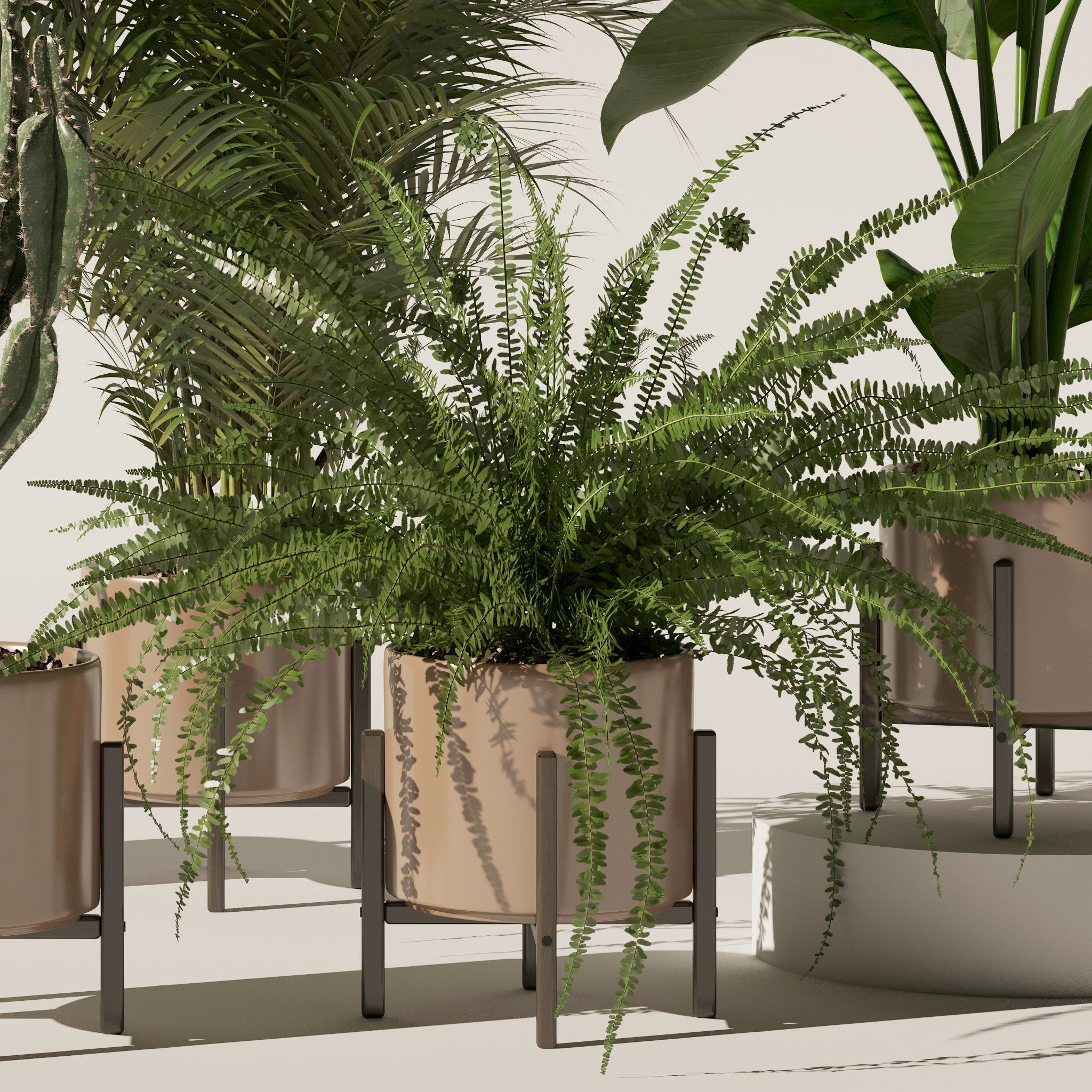 20 Photorealistic Flowers for Interiors - set 120 123 137 142 3D Model Collection_25