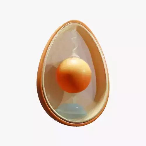 Anatomy Of Bird Egg