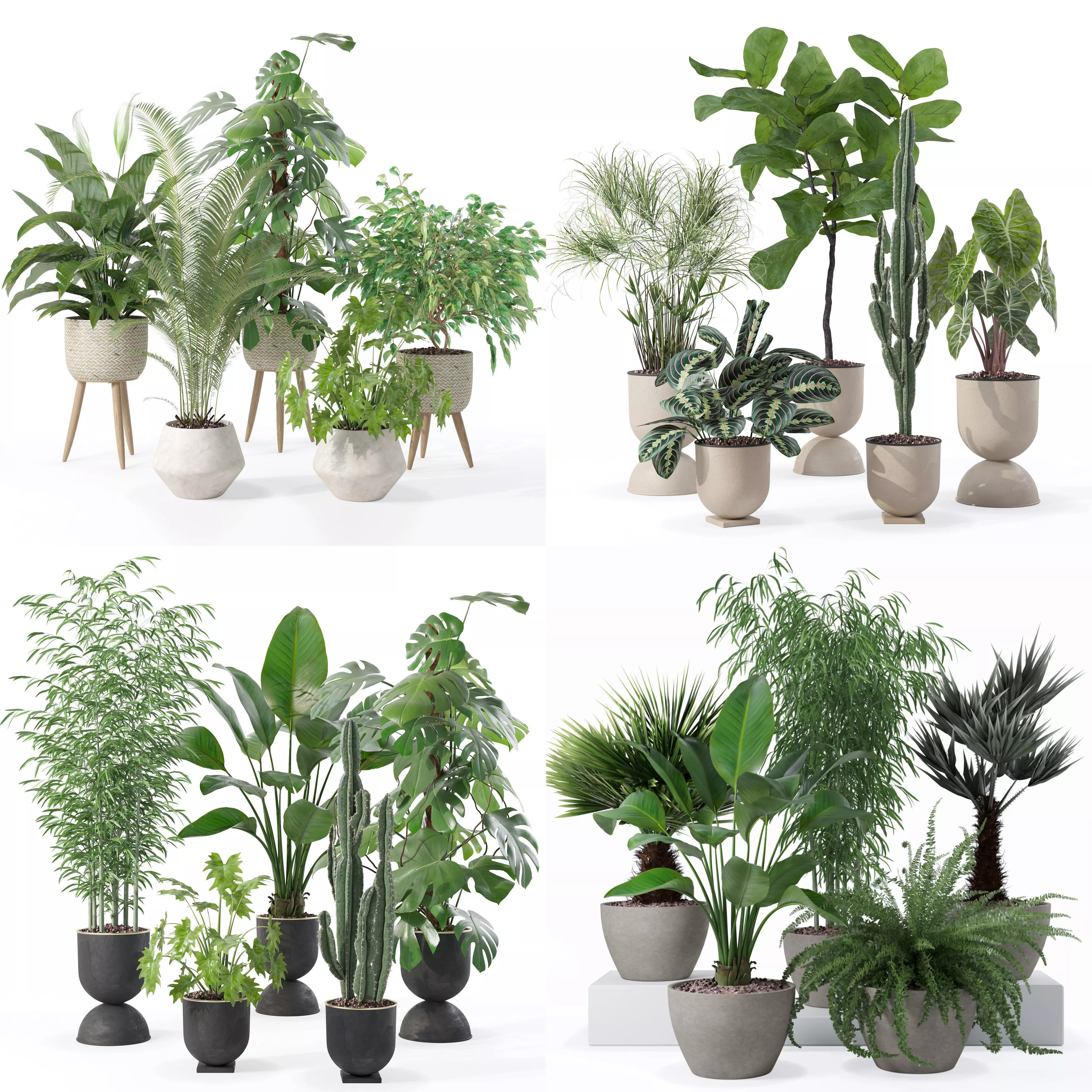 20 Photorealistic Flowers for Interiors - set 121 125 128 132 3D Model Collection_0