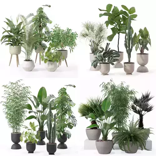 20 Photorealistic Flowers for Interiors - set 121 125 128 132 3D Model Collection