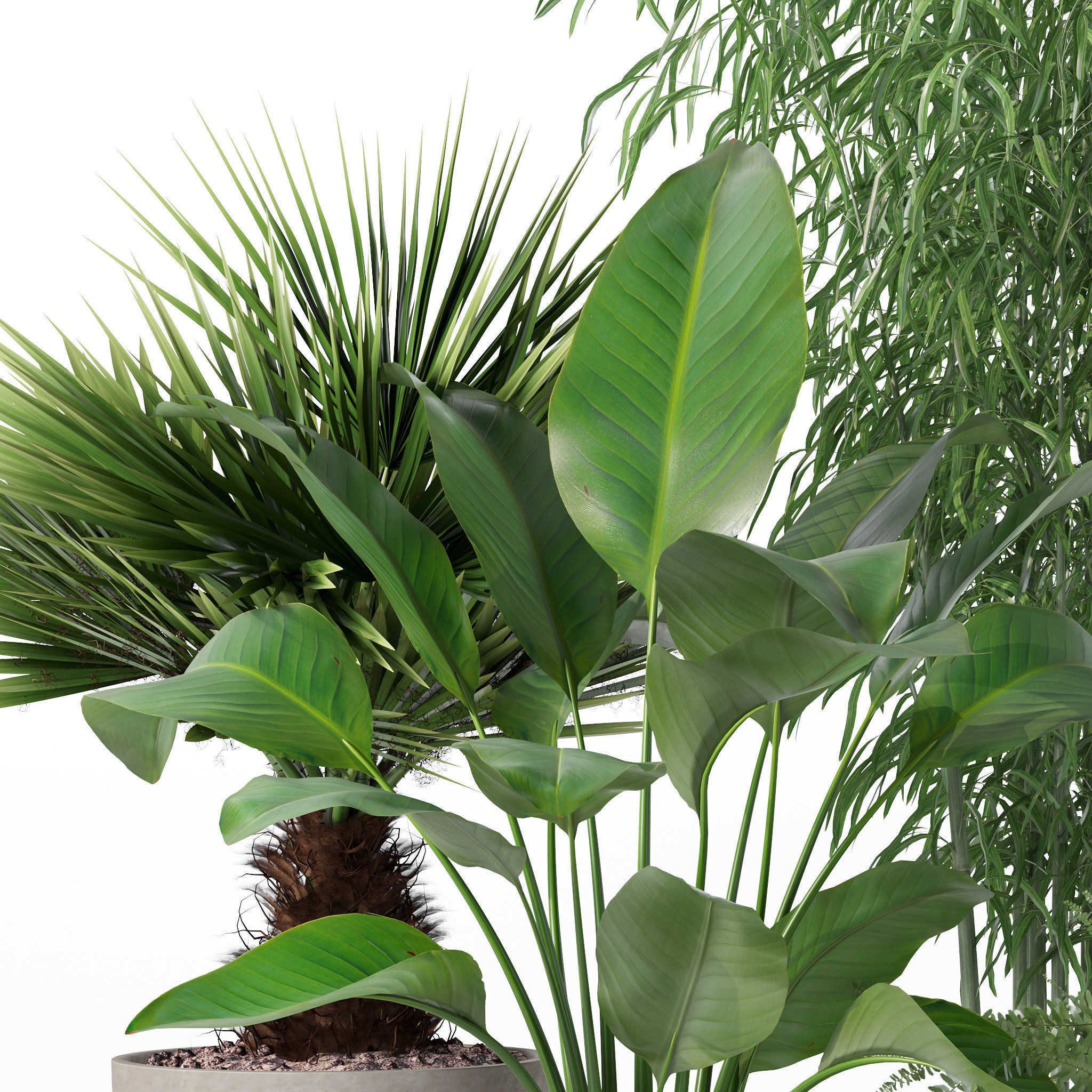 20 Photorealistic Flowers for Interiors - set 121 125 128 132 3D Model Collection_31