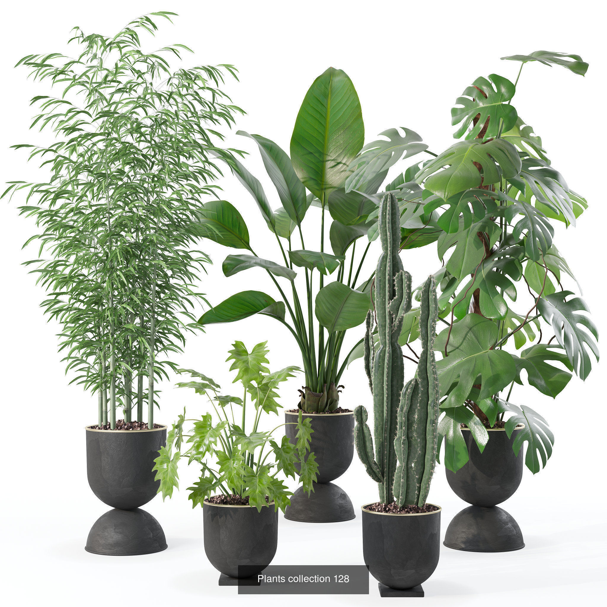 20 Photorealistic Flowers for Interiors - set 121 125 128 132 3D Model Collection_3