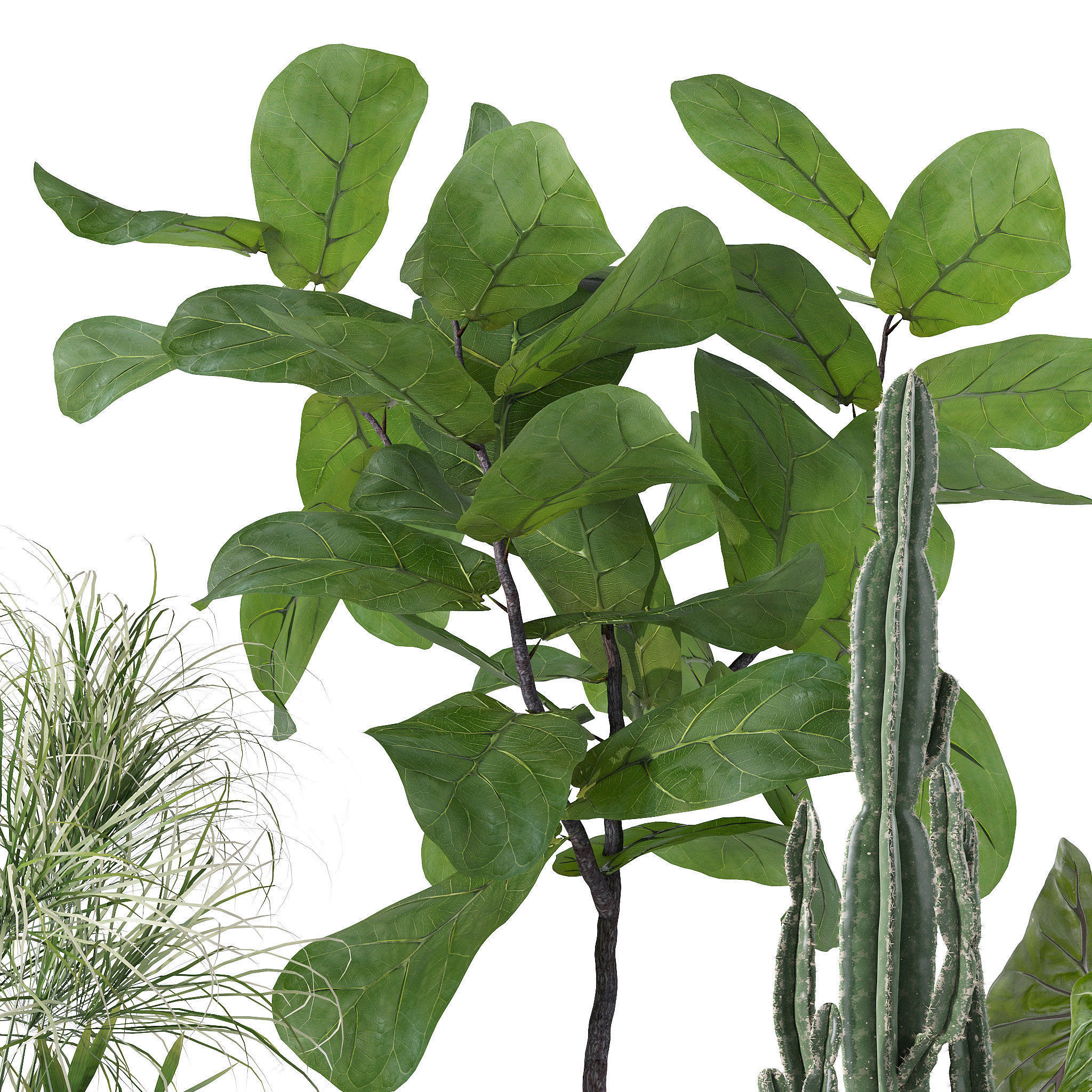 20 Photorealistic Flowers for Interiors - set 121 125 128 132 3D Model Collection_16