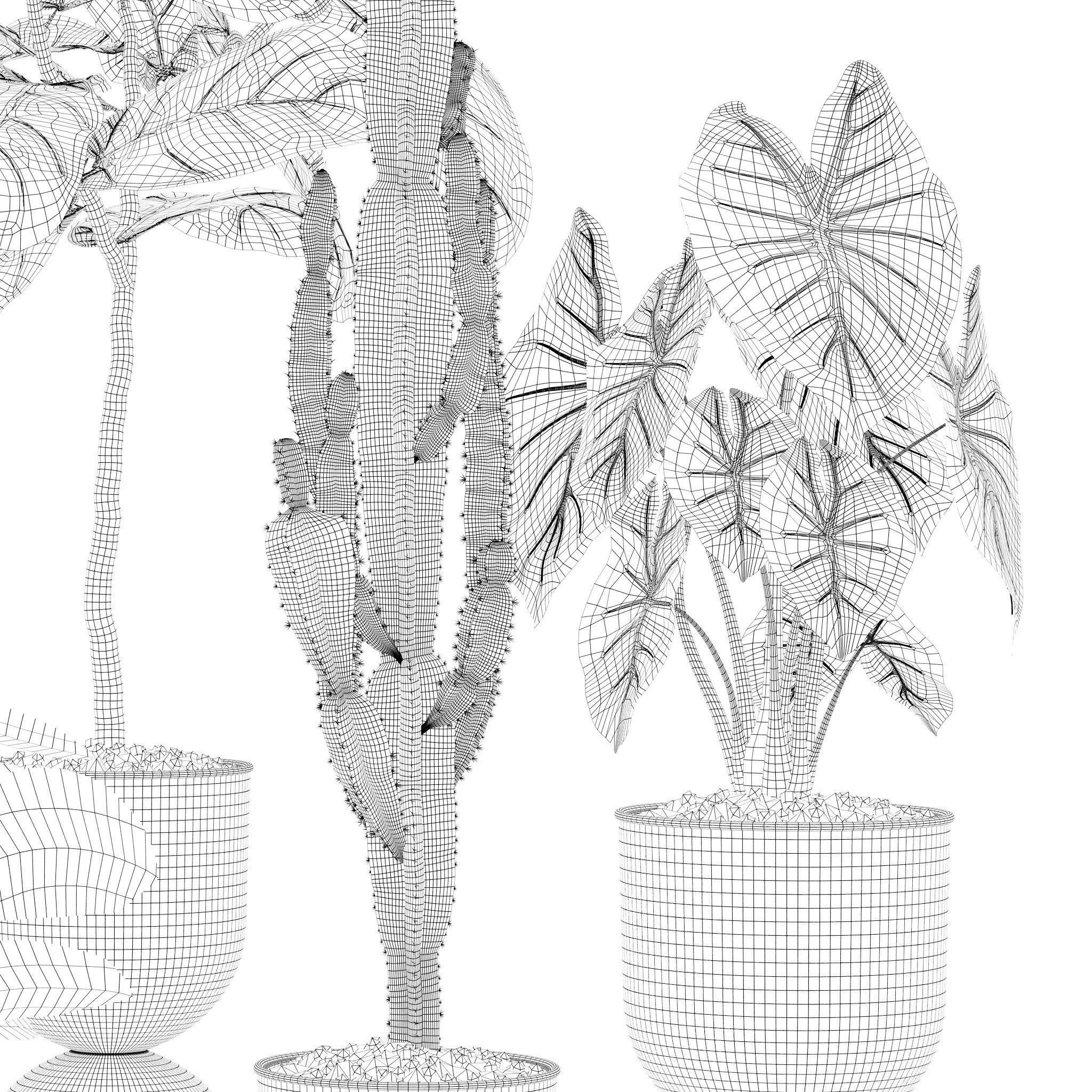 20 Photorealistic Flowers for Interiors - set 121 125 128 132 3D Model Collection_14