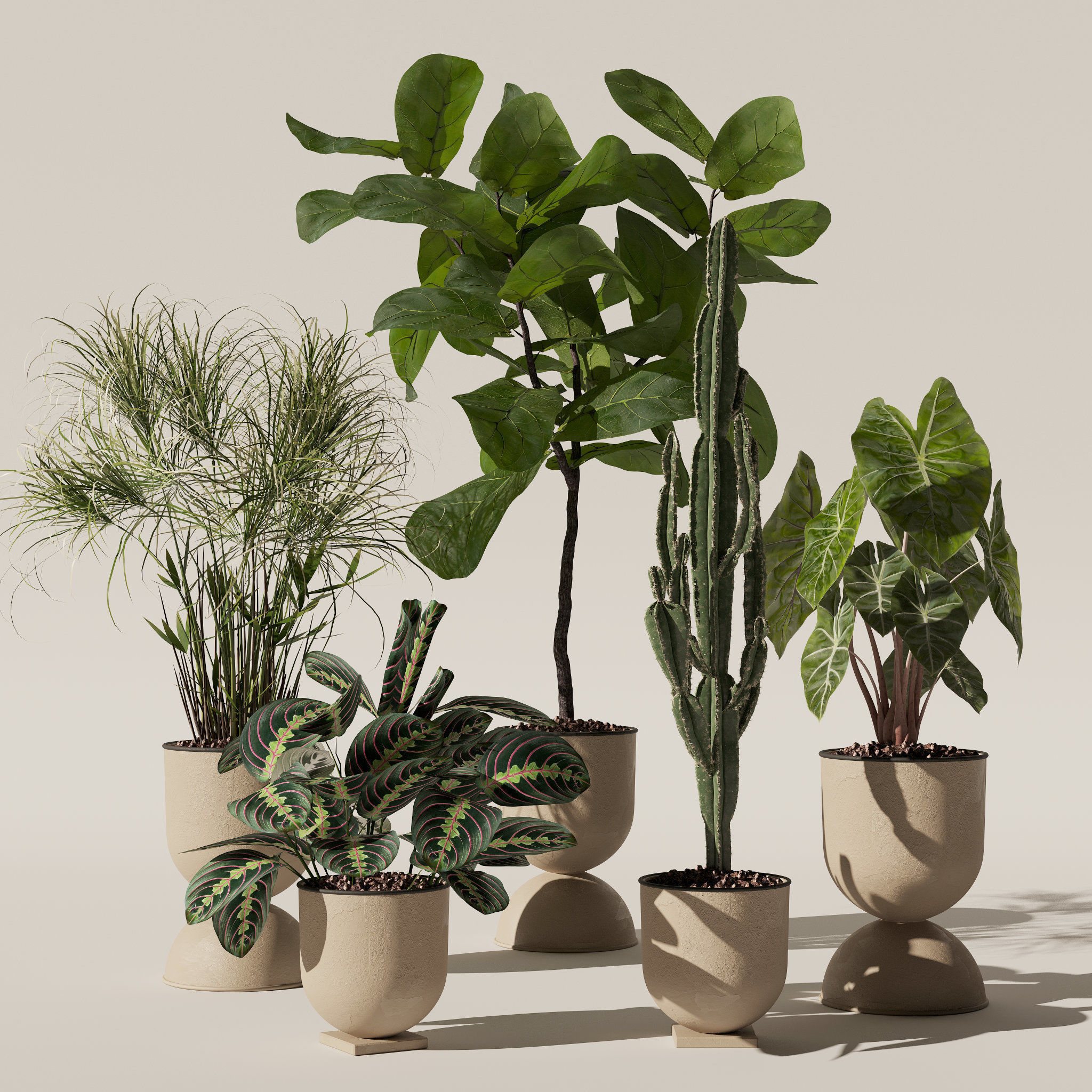 20 Photorealistic Flowers for Interiors - set 121 125 128 132 3D Model Collection_13