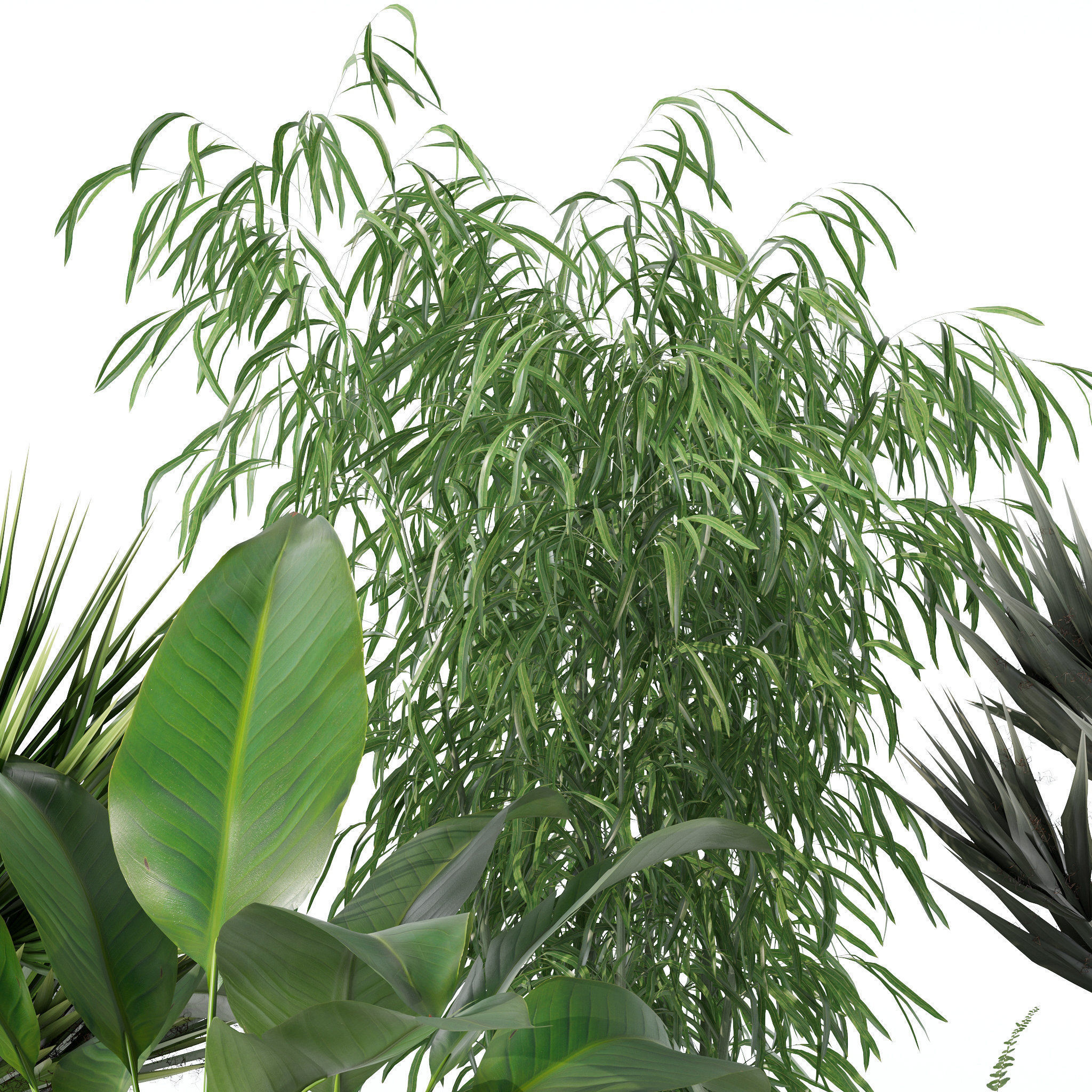 20 Photorealistic Flowers for Interiors - set 121 125 128 132 3D Model Collection_36