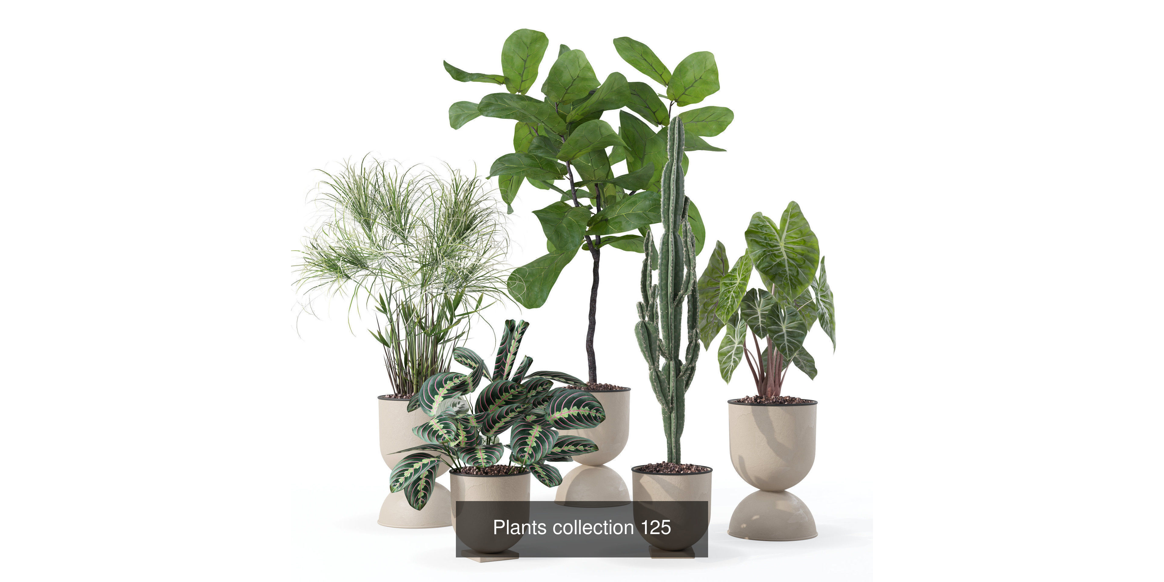 20 Photorealistic Flowers for Interiors - set 121 125 128 132 3D Model Collection_2