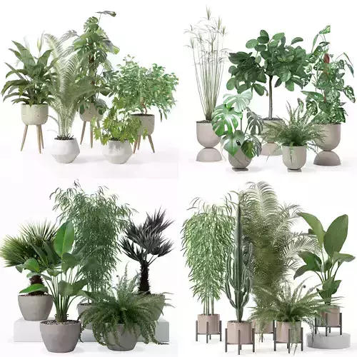 20 Photorealistic Flowers for Interiors - set 121 127 132 137 3D Model Collection