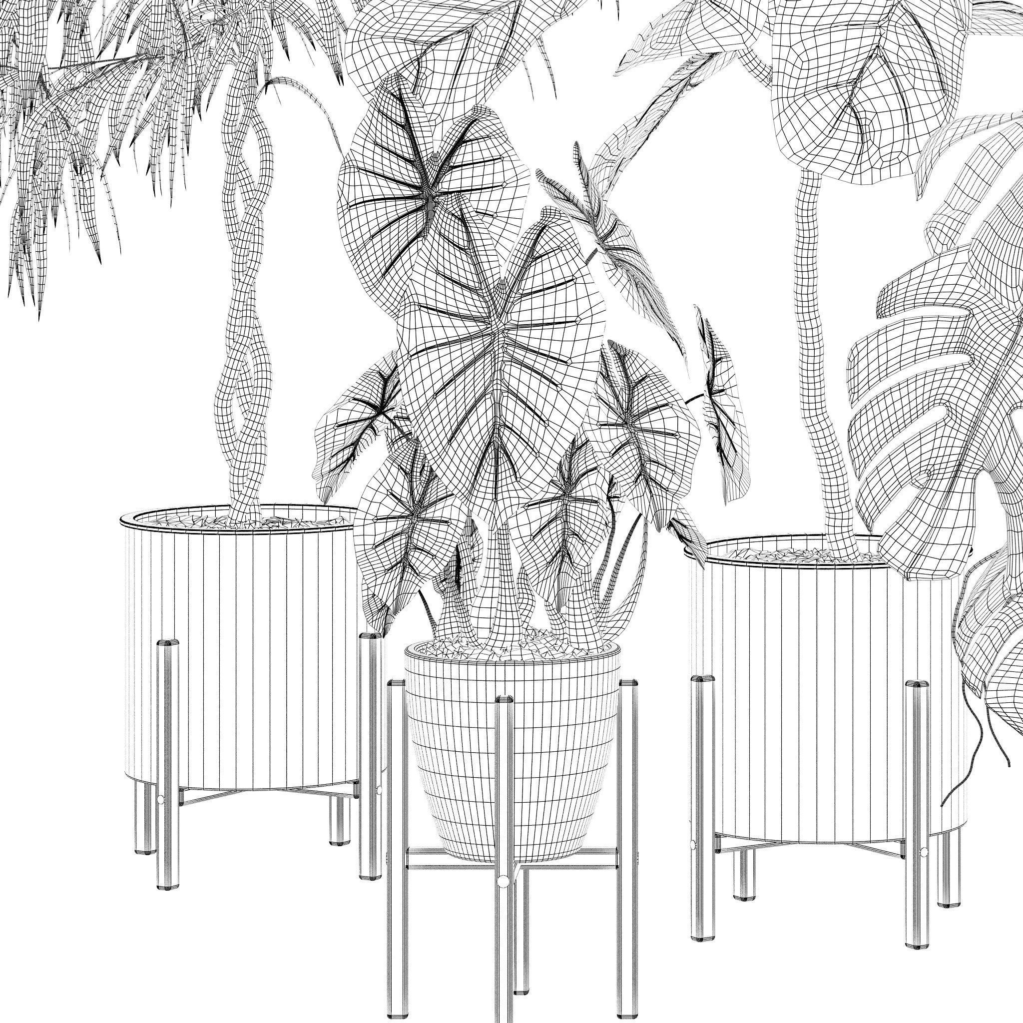 20 Photorealistic Flowers for Interiors - set 121 128 134 141 3D Model Collection_38