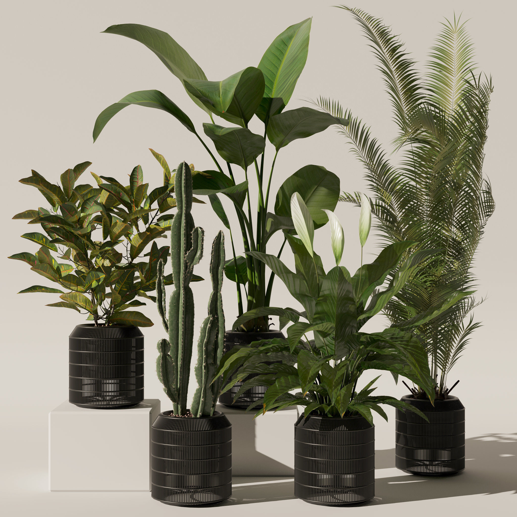 20 Photorealistic Flowers for Interiors - set 121 128 134 141 3D Model Collection_28