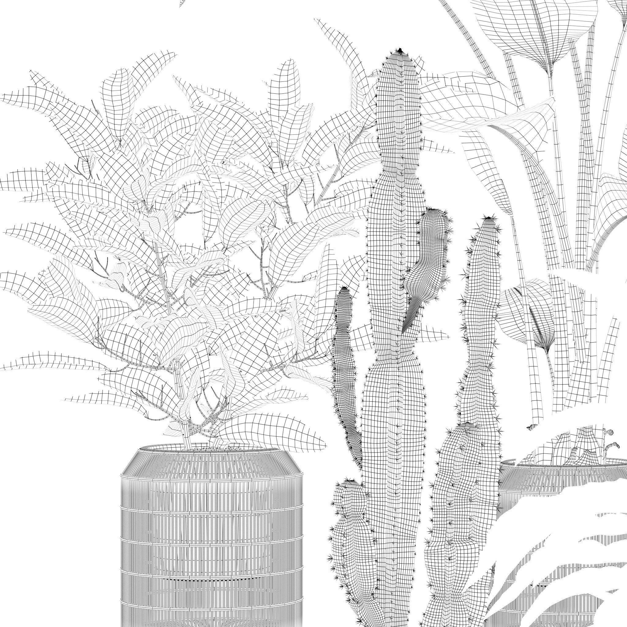 20 Photorealistic Flowers for Interiors - set 121 128 134 141 3D Model Collection_25