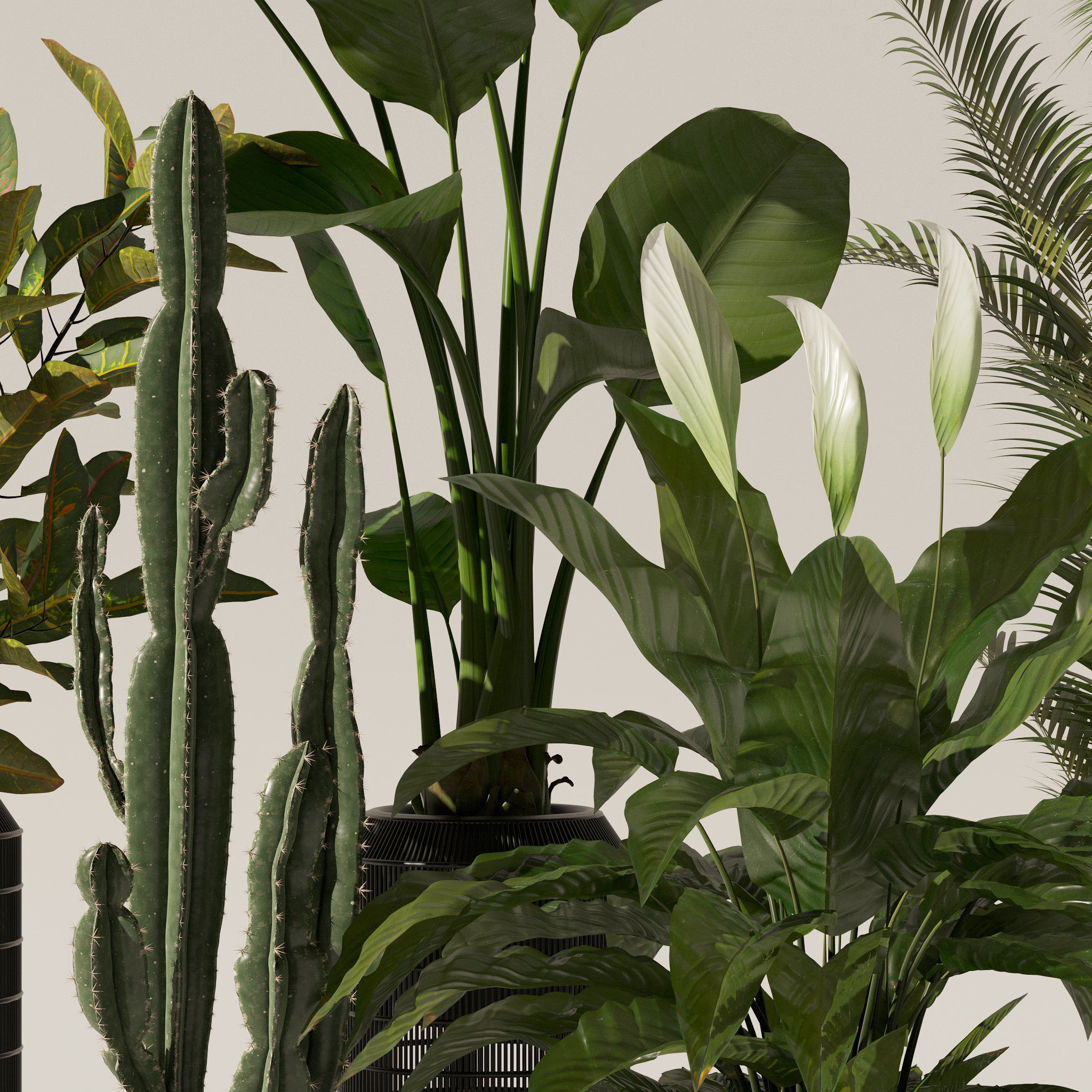 20 Photorealistic Flowers for Interiors - set 121 128 134 141 3D Model Collection_30