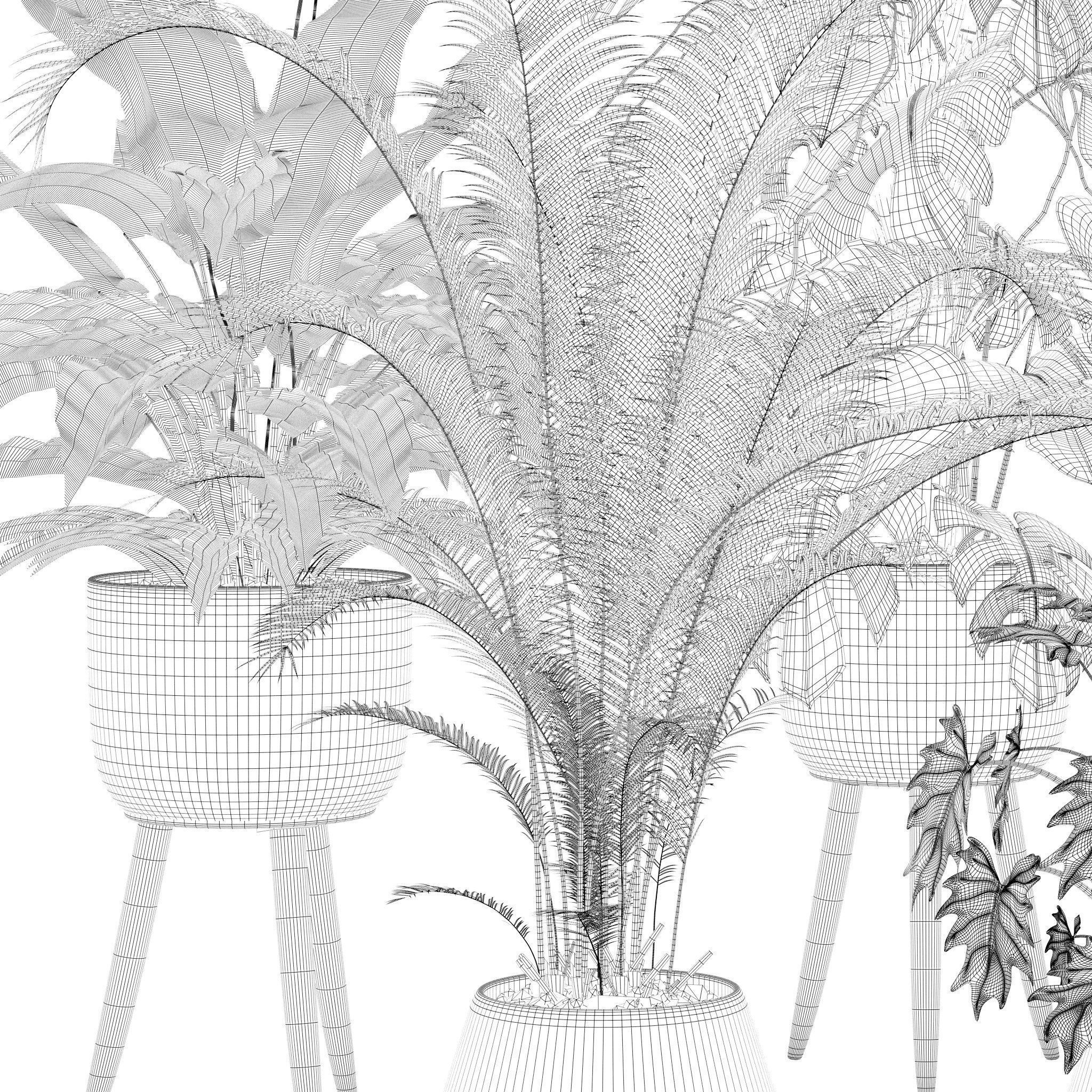 20 Photorealistic Flowers for Interiors - set 121 128 134 141 3D Model Collection_8