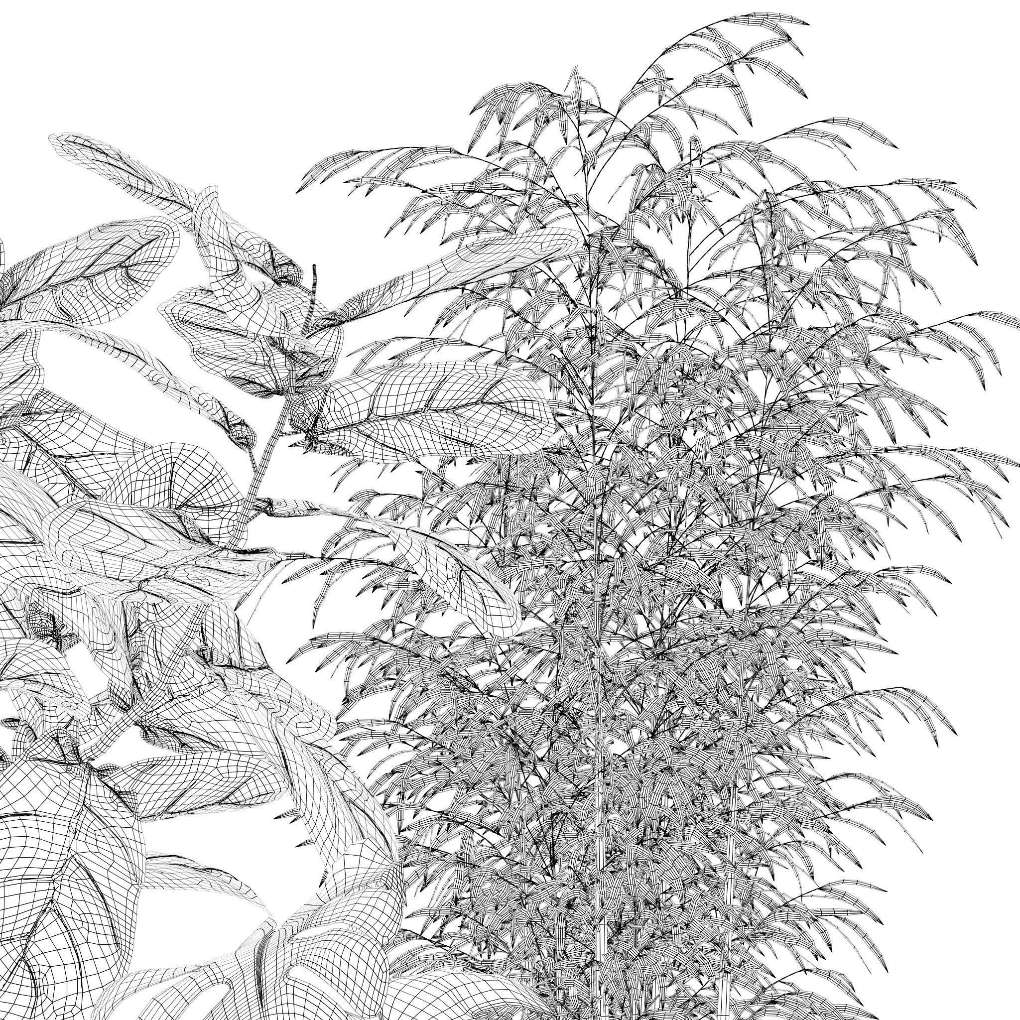 20 Photorealistic Flowers for Interiors - set 121 128 134 141 3D Model Collection_47