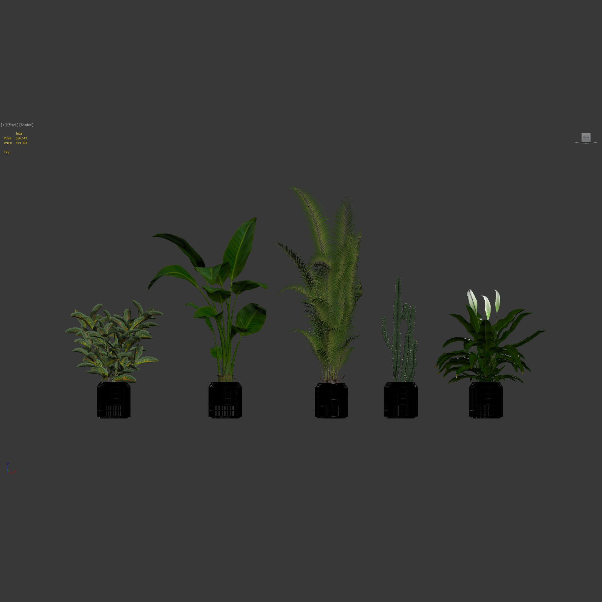 20 Photorealistic Flowers for Interiors - set 121 128 134 141 3D Model Collection_23