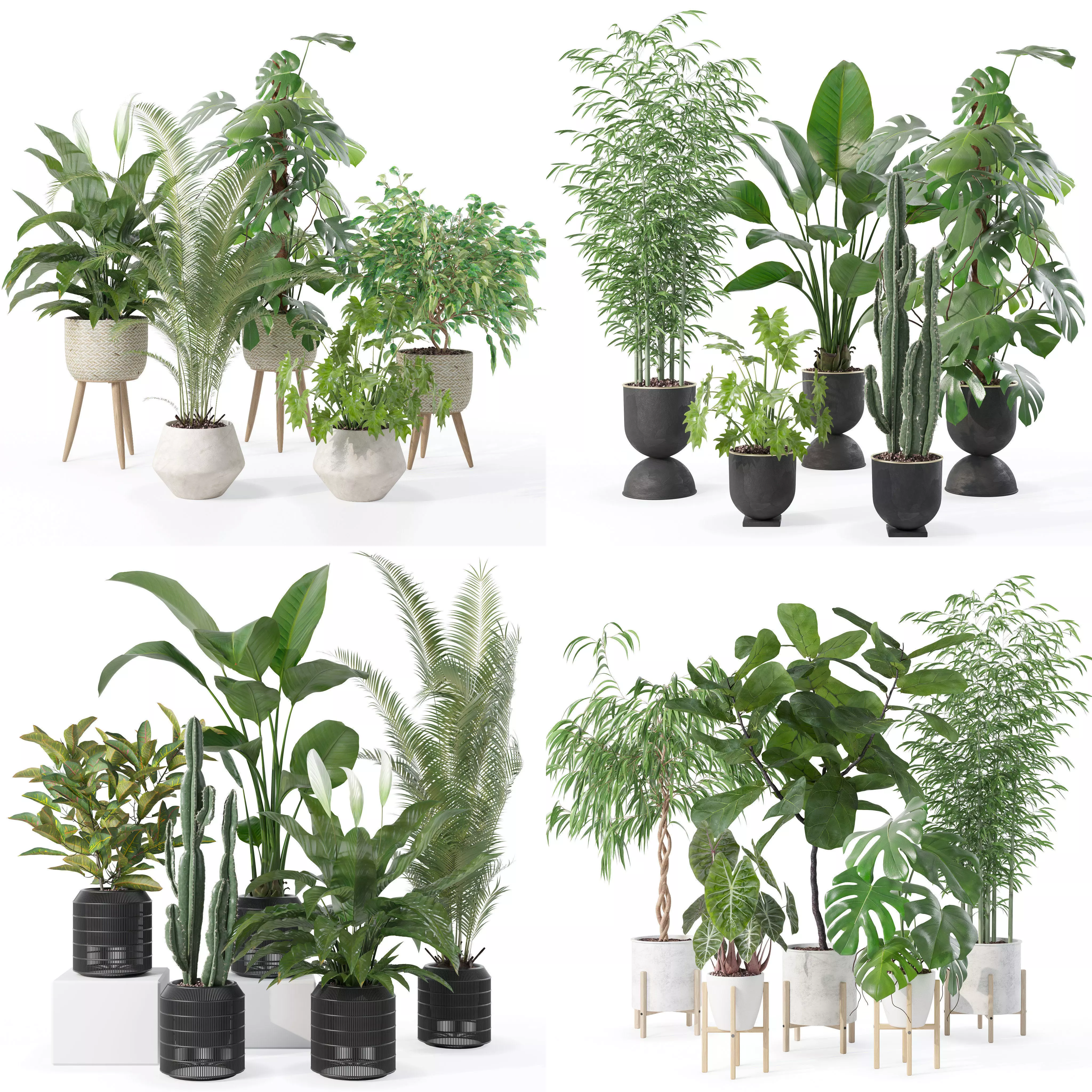 20 Photorealistic Flowers for Interiors - set 121 128 134 141 3D Model Collection_0