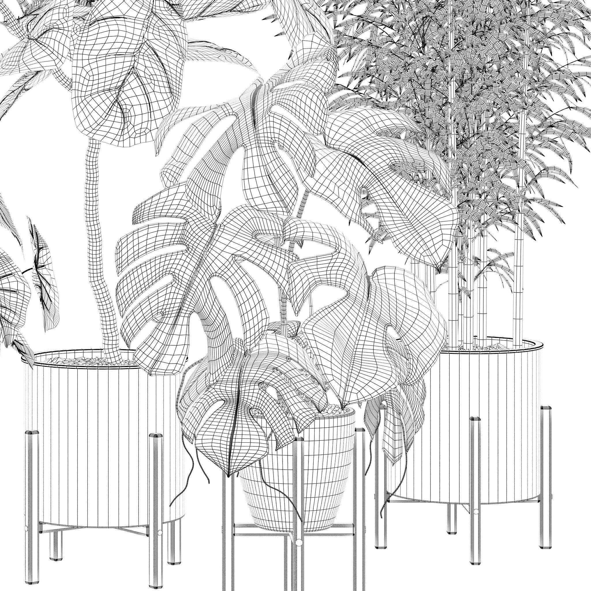 20 Photorealistic Flowers for Interiors - set 121 128 134 141 3D Model Collection_45