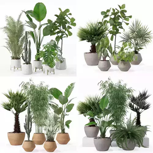 20 Photorealistic Flowers for Interiors - set 122 126 129 132 3D Model Collection