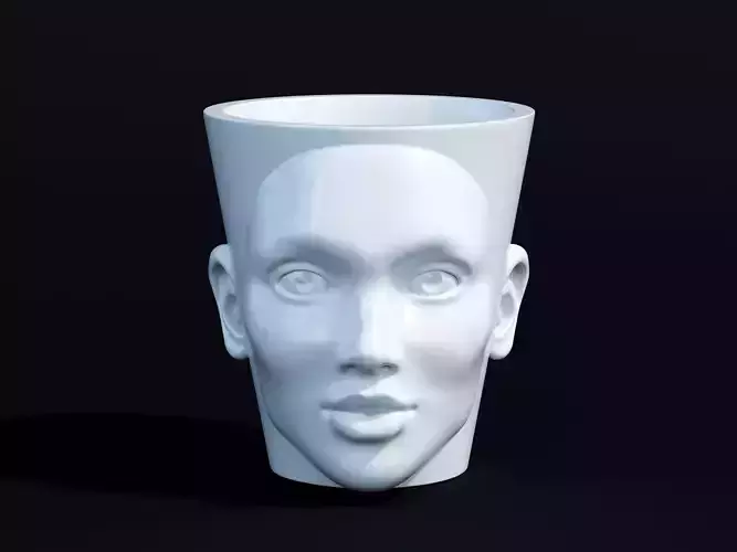 Flowers pot with face