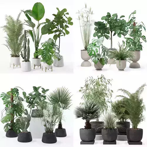 20 Photorealistic Flowers for Interiors - set 122 127 131 135 3D Model Collection