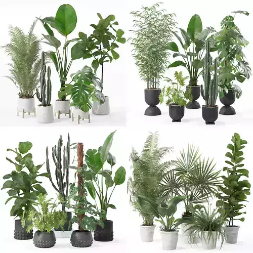 20 Photorealistic Flowers for Interiors - set 122 128 133 139 3D Model Collection