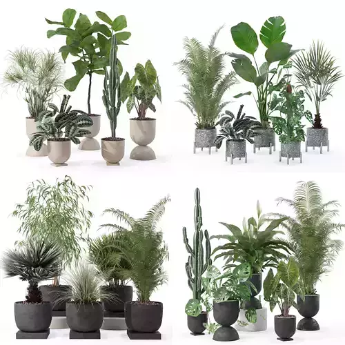 20 Photorealistic Flowers for Interiors - set 125 130 135 140 3D Model Collection
