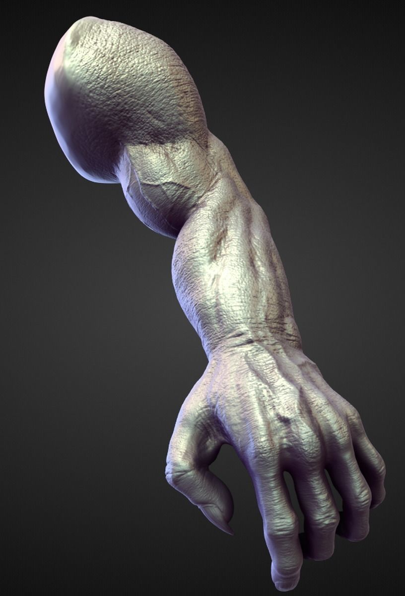 45 ARMS high poly sculpts 3D model_2