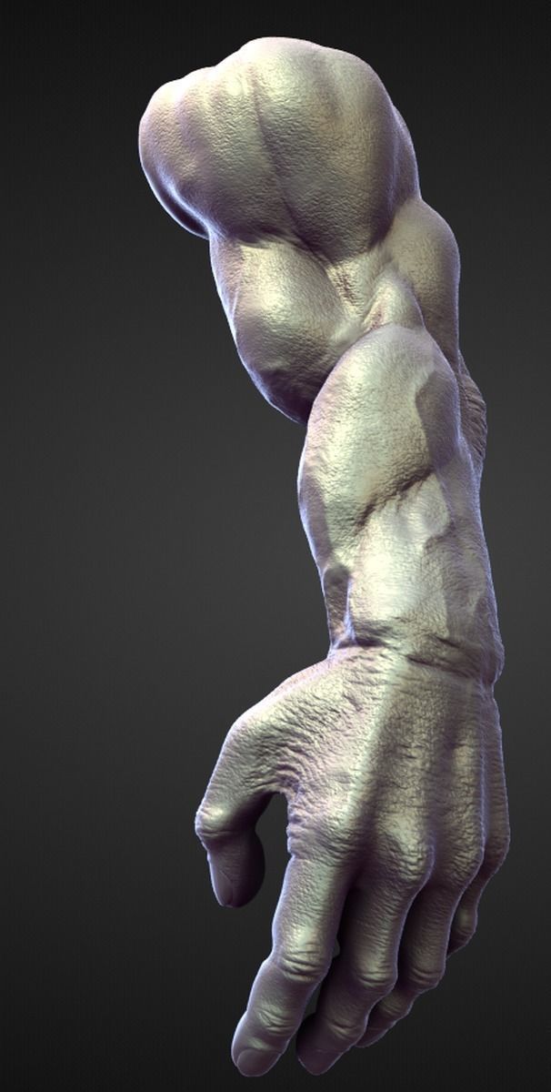 45 ARMS high poly sculpts 3D model_12