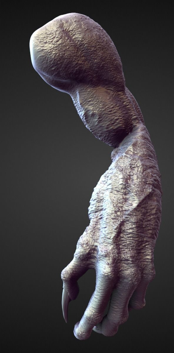 45 ARMS high poly sculpts 3D model_24