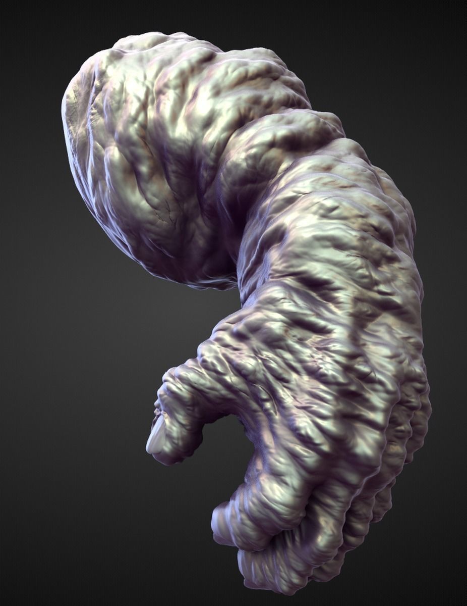 45 ARMS high poly sculpts 3D model_41