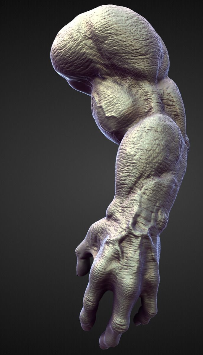 45 ARMS high poly sculpts 3D model_4