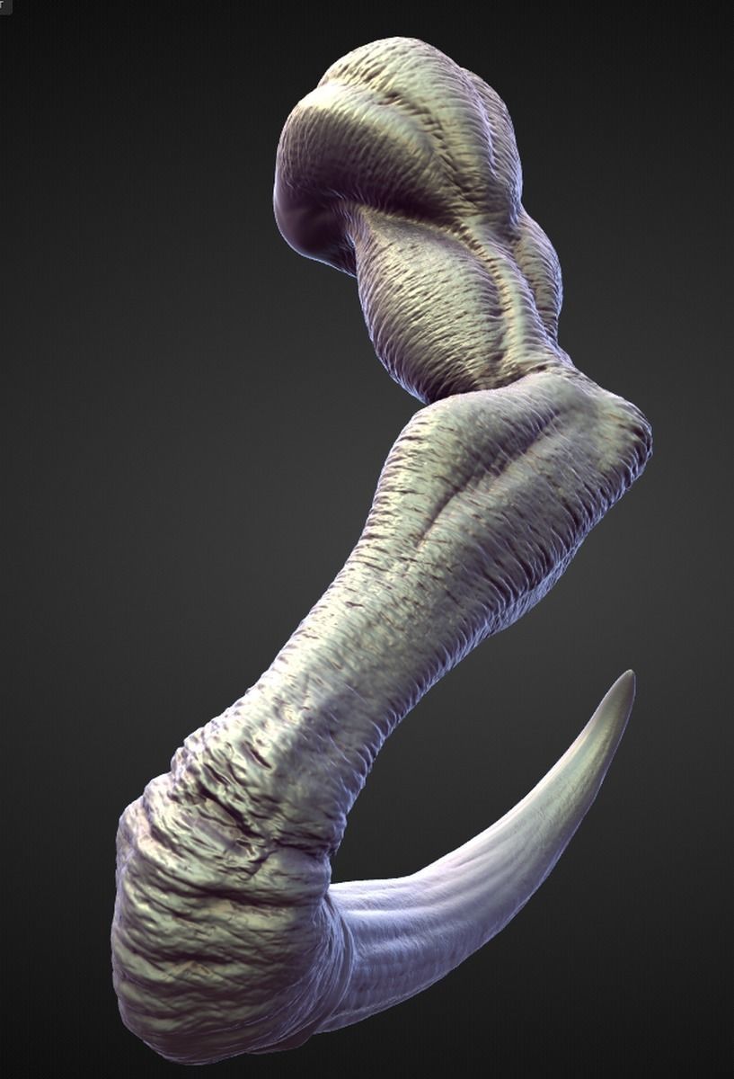 45 ARMS high poly sculpts 3D model_18