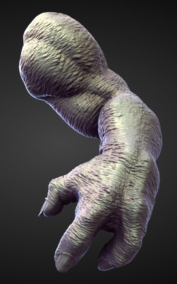 45 ARMS high poly sculpts 3D model_27