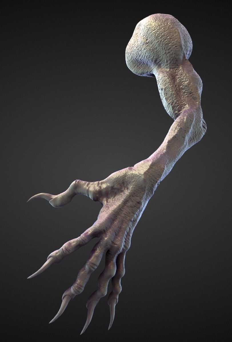 45 ARMS high poly sculpts 3D model_42