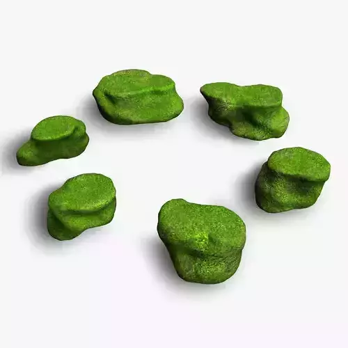 Short Flat Rocks - Moss 2