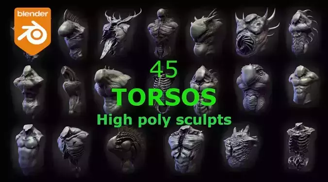 45 TORSOS high poly sculpts 3D model