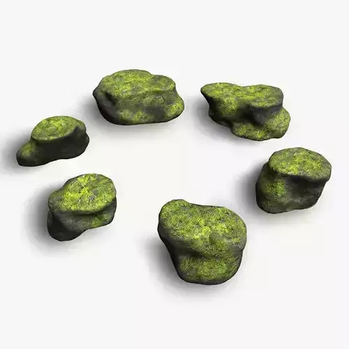 Short Flat Rocks - Moss 1