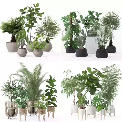 20 Photorealistic Flowers for Interiors - set 126 131 133 141 3D Model Collection