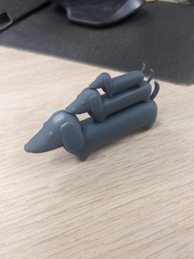 Velu the dachshund Free 3D print model_2