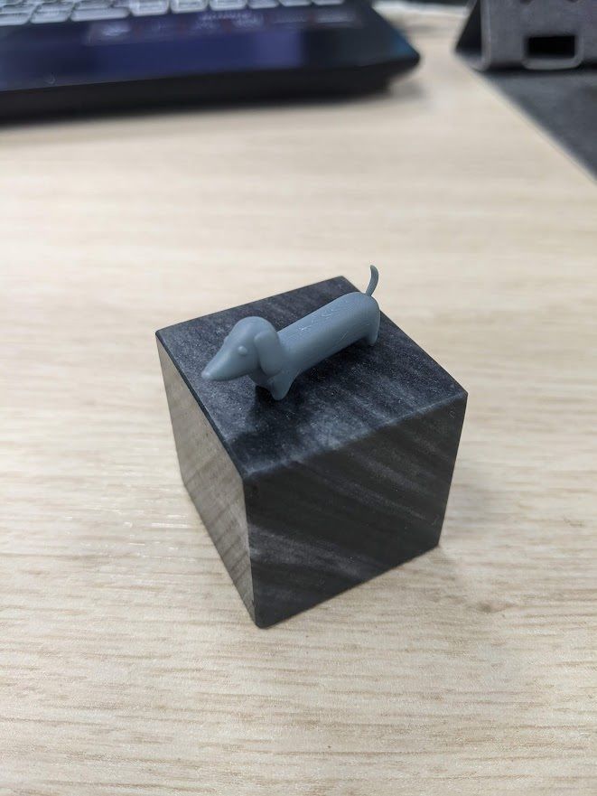 Velu the dachshund Free 3D print model_5