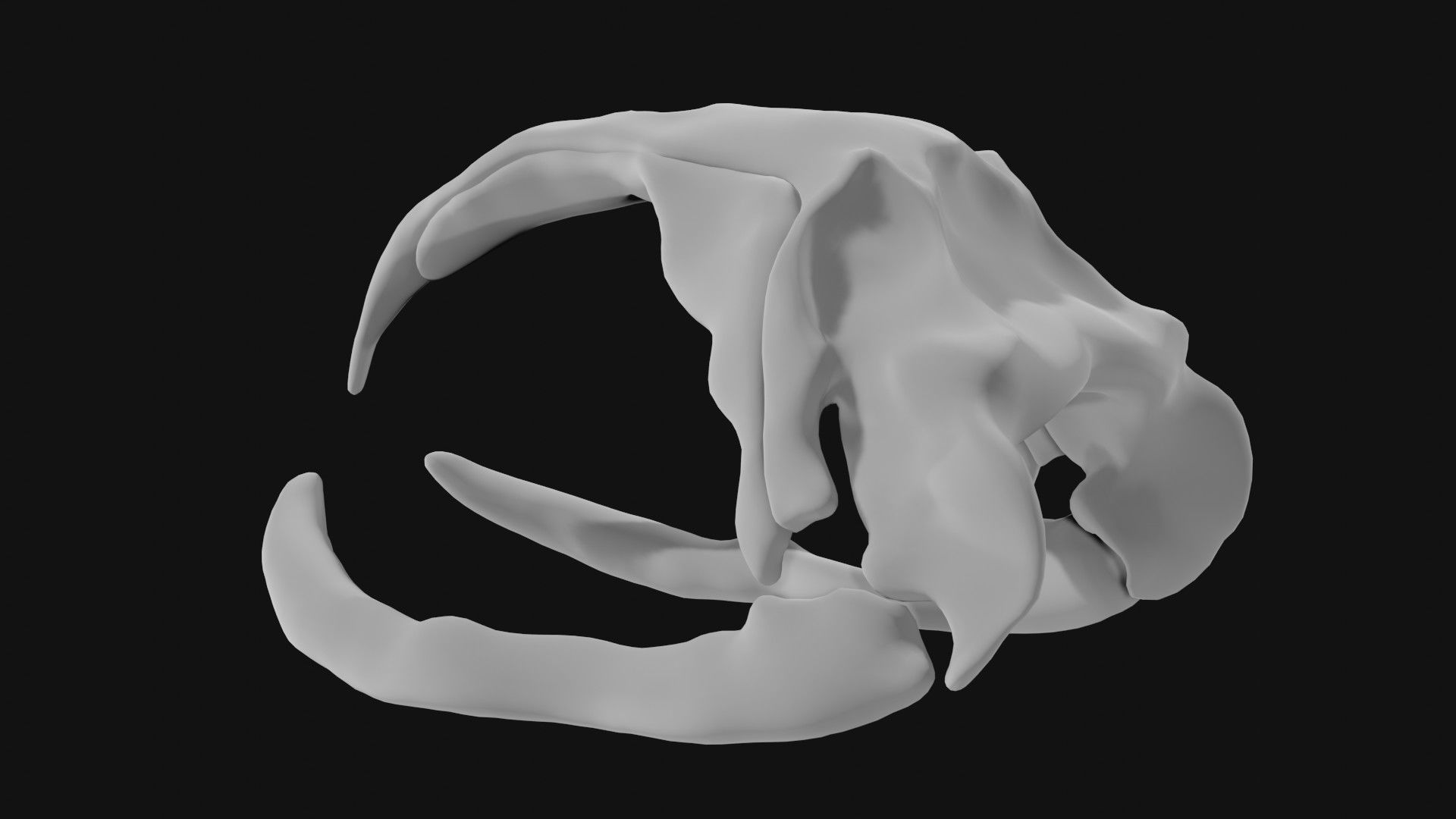 Bowhead Whale Skull 3D model_6